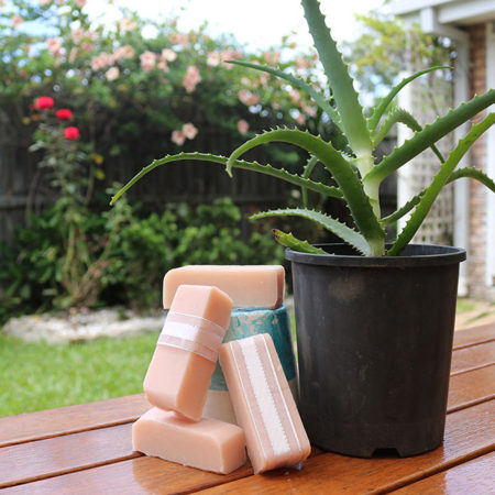 Astounding Aloe