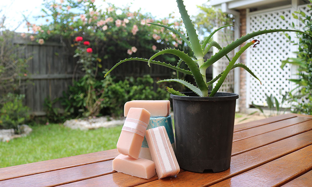 Astounding Aloe