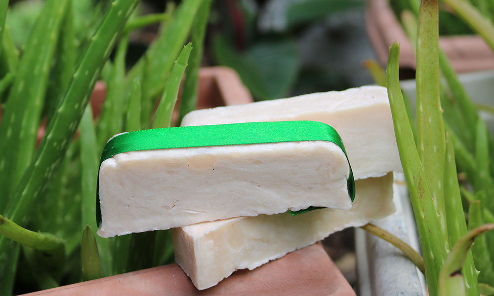 Aloe Vera hot pressed soap
