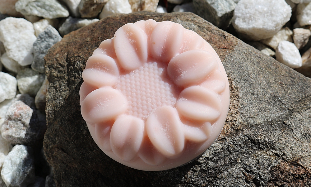 Astounding Aloe - Image 9