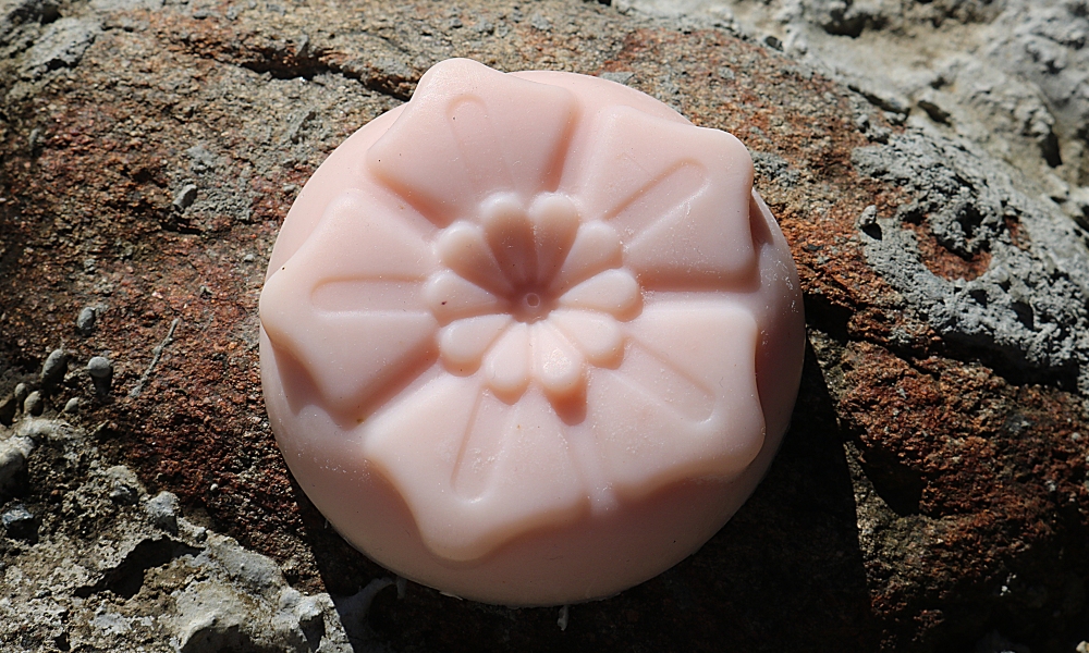 Astounding Aloe - Image 8