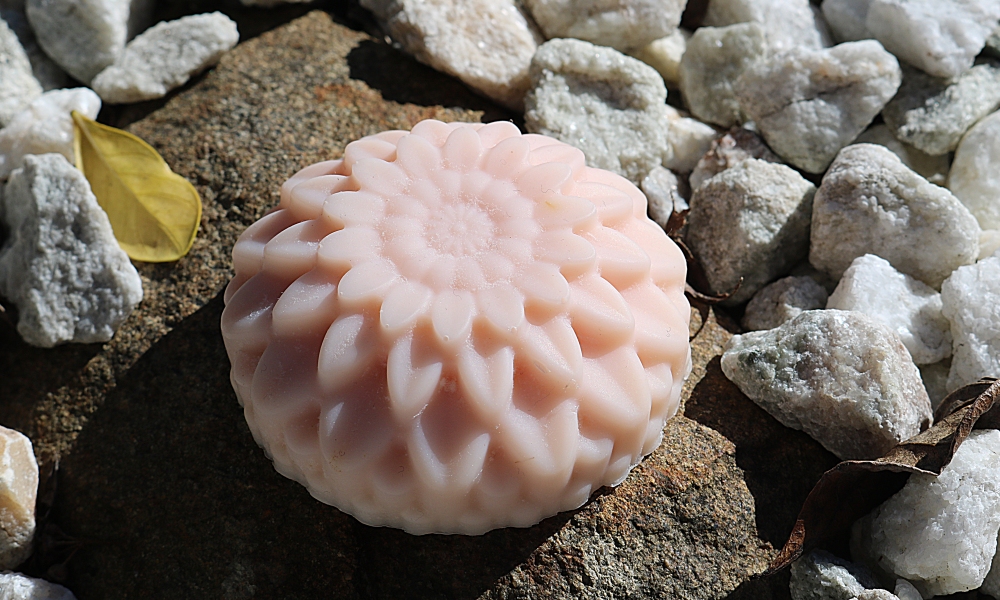 Astounding Aloe - Image 7